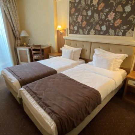 Hotel Leul De Aur Sebes  Luaran gambar