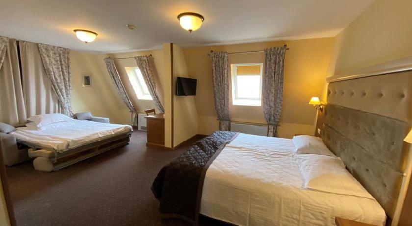 Hotel Leul De Aur Sebes  Luaran gambar